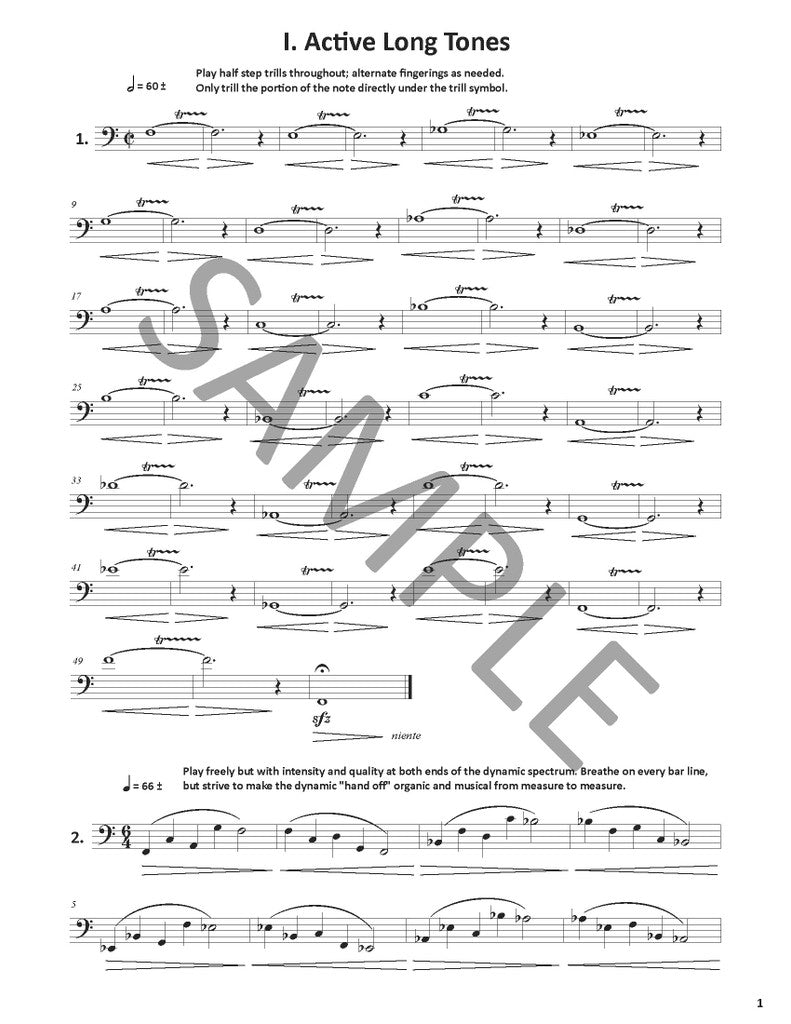 Lapins, Alexander - Mix & Match Fundamentals: Build Your Own Advanced Routine for Euphonium