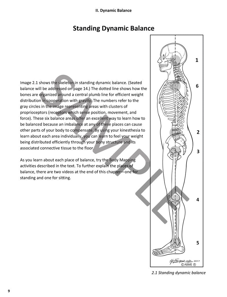Vining, David - Body Mapping Brass